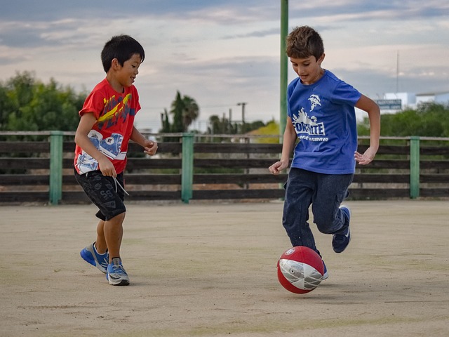在迪拜的赛 在迪拜的赛