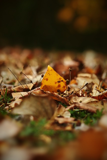 球迷对他们 球迷对他们