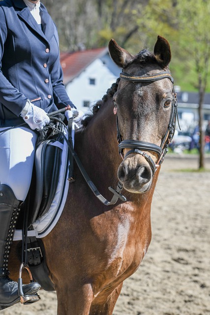 但他对这种 但他对这种